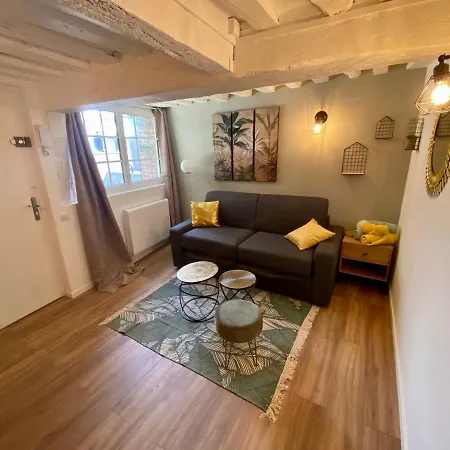 Apartment Le Jaune - Hypercentre - 107 Rouen